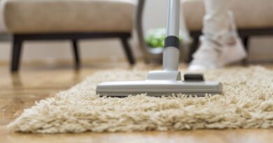Como limpar tapetes e carpetes