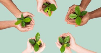 Sustentabilidade na limpeza: Desafios dos canais de vendas digitais e físicos