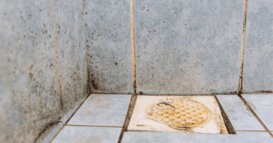 A escolha dos produtos certos e a adoção de práticas preventivas são essenciais para manter ambientes comerciais e corporativos livres de mofo, garantindo a saúde e segurança de todos.